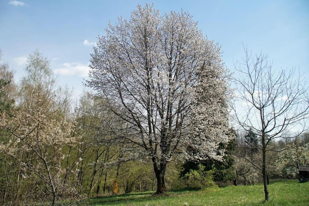 Stilvolles Landhaus Im Dreilaendereck Felsoszolnok Экстерьер фото