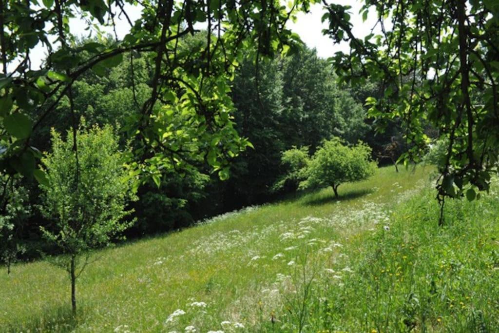 Stilvolles Landhaus Im Dreilaendereck Felsoszolnok Экстерьер фото